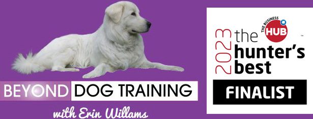 Beyond Dog Training